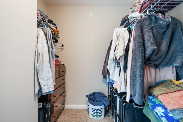 1048 Preston Dr, Radford, VA 24141 - spacious closet with carpet