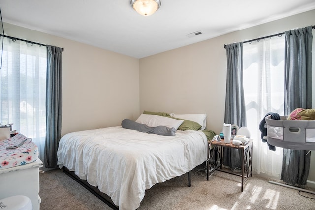 1048 Preston Dr, Radford, VA 24141 - bedroom with carpet
