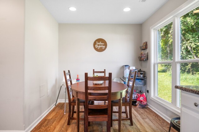 1048 Preston Dr, Radford, VA 24141 - dining room with light wood finished floors, plenty of natural light, and recessed lighting