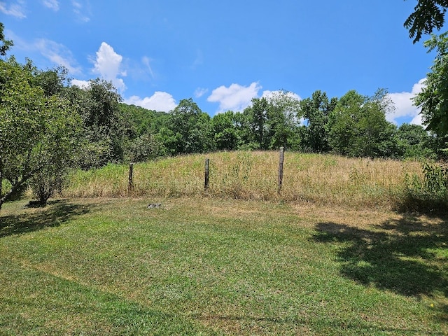 663 Cleghorn Valley Rd, Marion, VA 24354 - photo 17