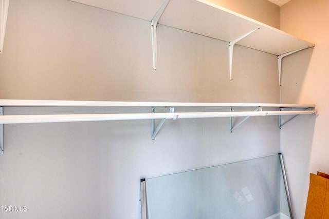 view of walk in closet