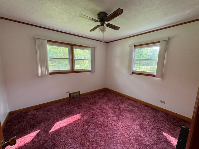 1686 Troutdale Hwy, Mouth Of Wilson, VA 24363 - photo 19