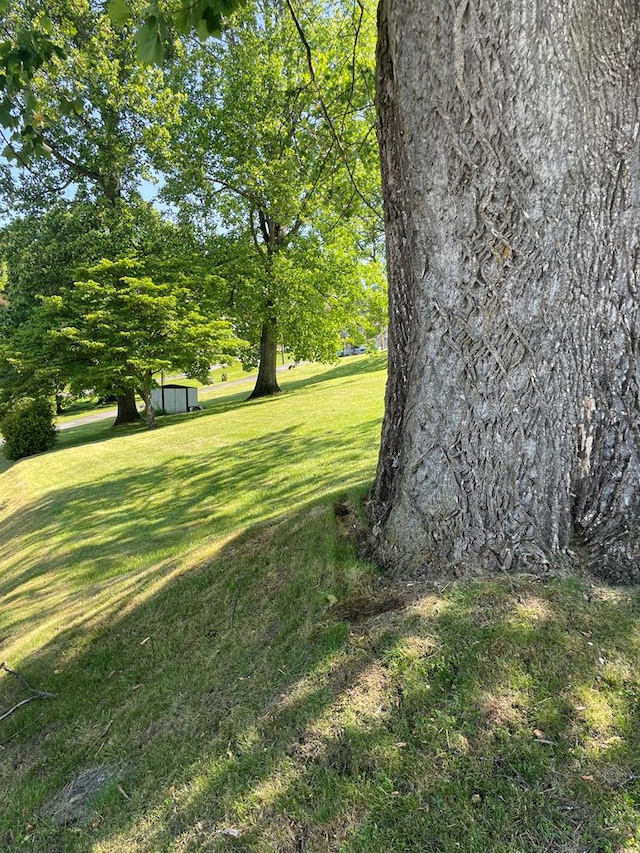 419 Adams St, Marion, VA 24354 - view of green lawn