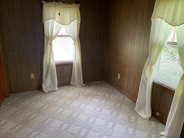 419 Adams St, Marion, VA 24354 - unfurnished room with light carpet and wooden walls