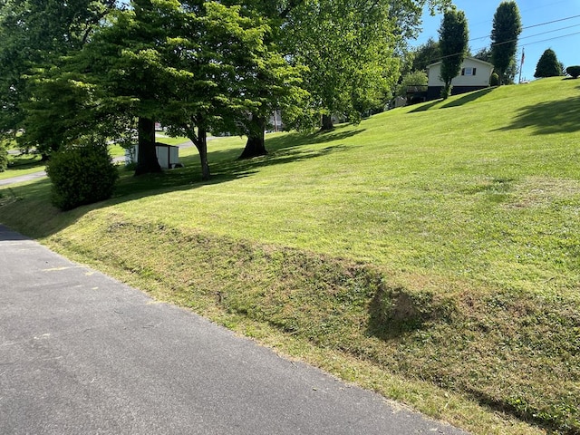 419 Adams St, Marion, VA 24354 - view of grassy yard