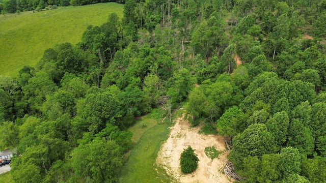 TBD Isaac Lane, Meadowview, VA 24361