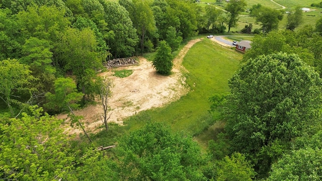 TBD Isaac Lane, Meadowview, VA 24361
