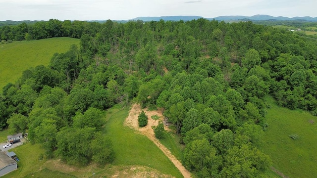 TBD Isaac Lane, Meadowview, VA 24361