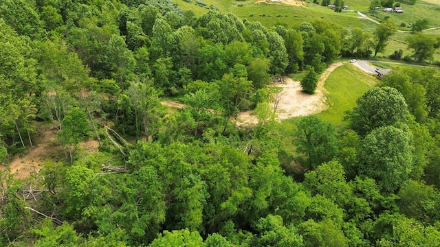 TBD Isaac Lane, Meadowview, VA 24361