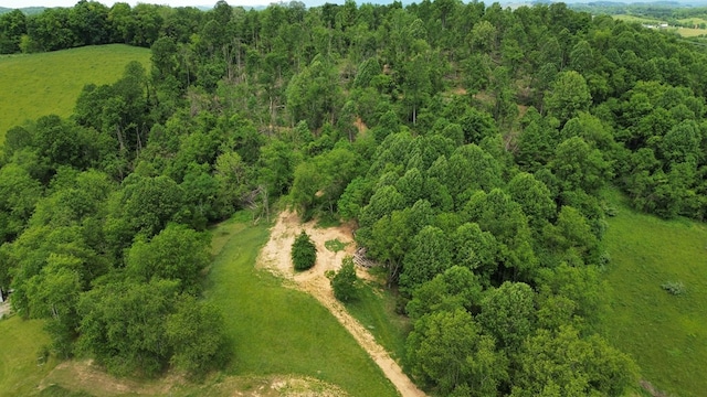 TBD Isaac Lane, Meadowview, VA 24361