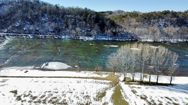 property view of water featuring a forest view