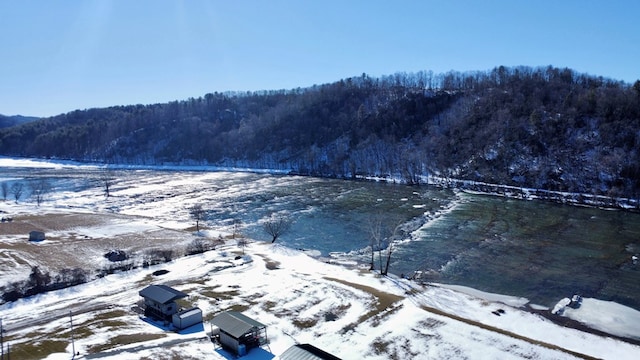 property view of water with a wooded view