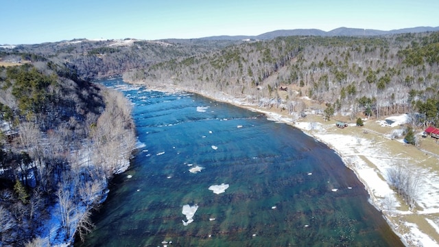 aerial view featuring a water and mountain view and a view of trees