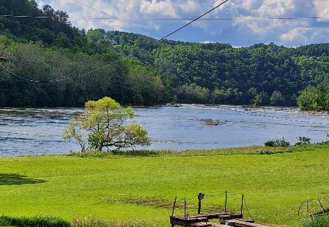 property view of water with a forest view