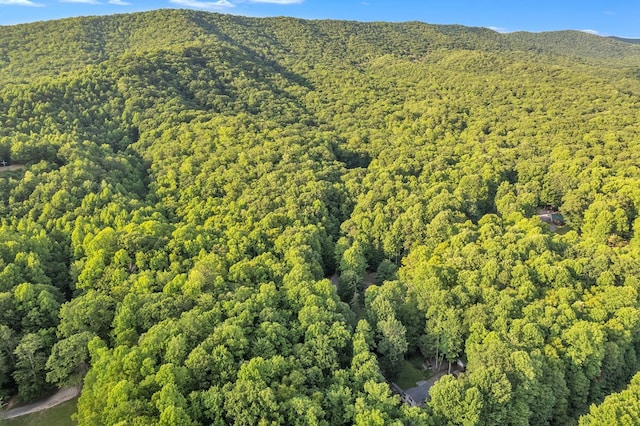 bird's eye view with a mountain view