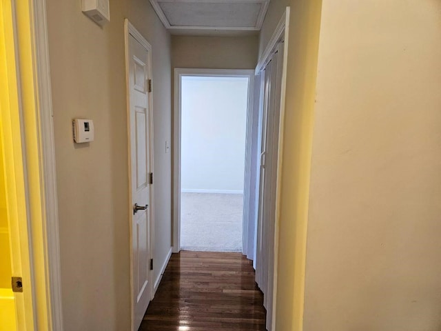 hallway featuring dark wood-type flooring