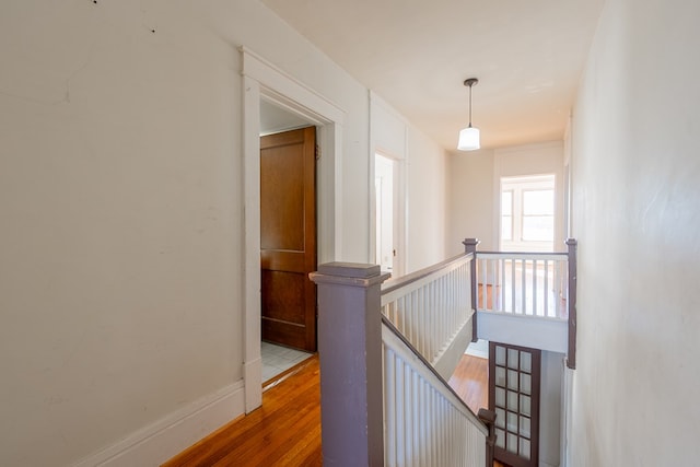 hallway featuring wood-type flooring