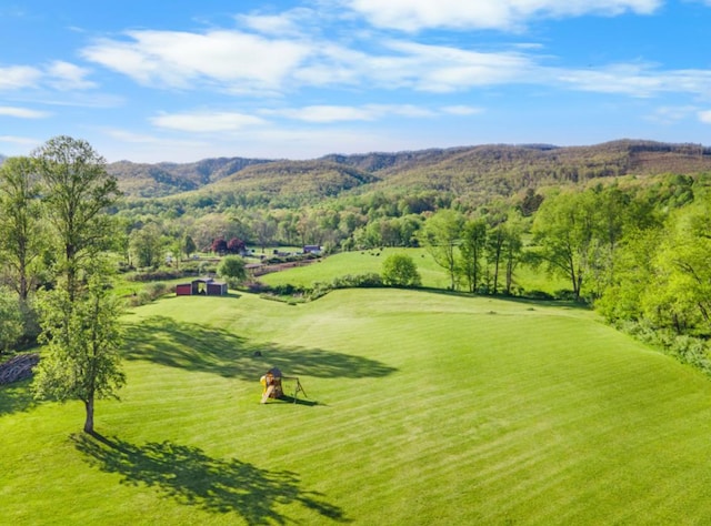 3003 Freestone Valley Rd, Tannersville, VA 24377 - view of community with a wooded view