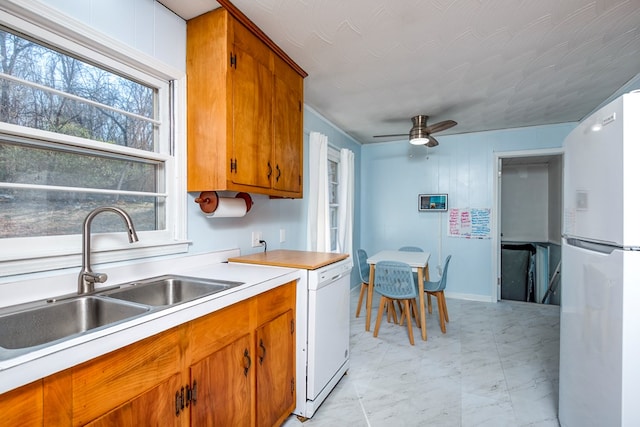 kitchen featuring white refrigerator, ceiling fan, and sink