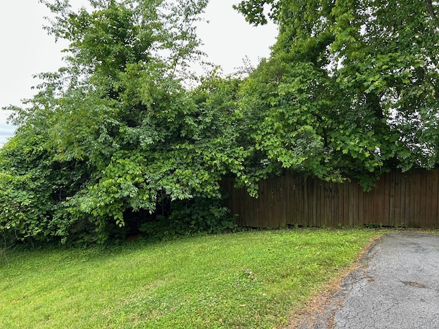 115 Ashley Dr, Bristol, VA 24201 - photo 69