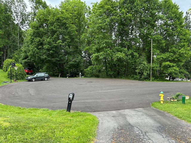 115 Ashley Dr, Bristol, VA 24201 - photo 64