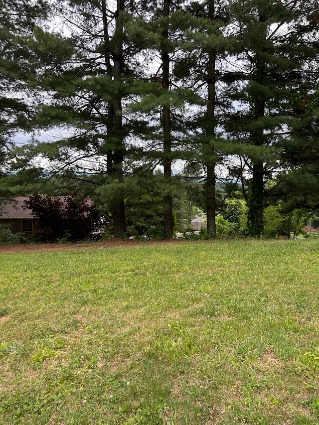 115 Ashley Dr, Bristol, VA 24201 - photo 71