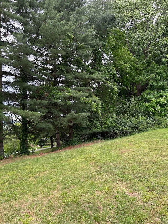 115 Ashley Dr, Bristol, VA 24201 - photo 72