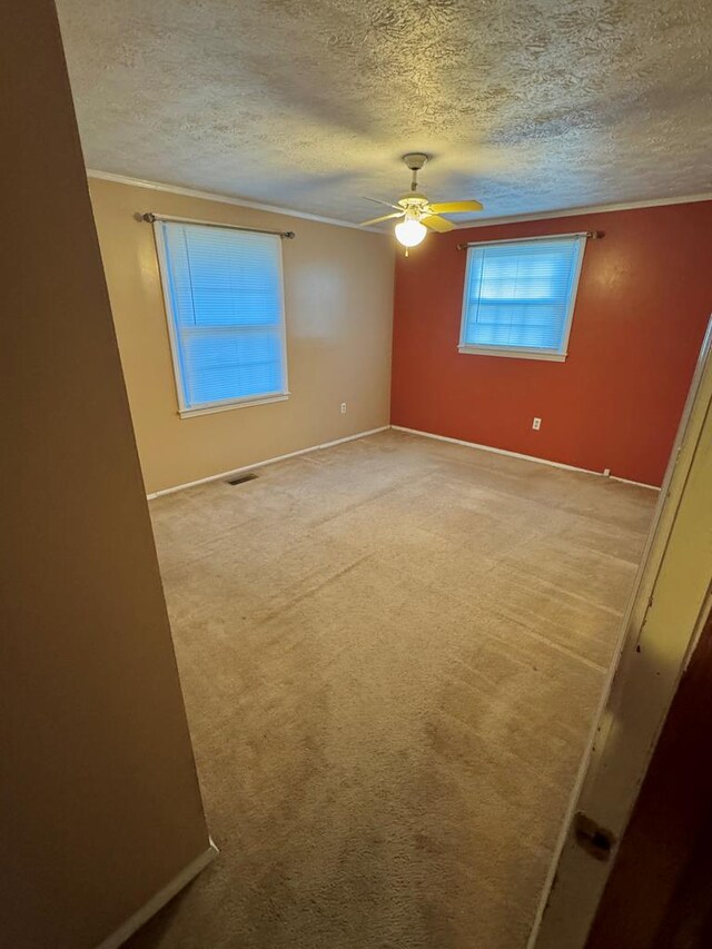 115 Kennedy Dr, Pounding Mill, VA 24637 - photo 13