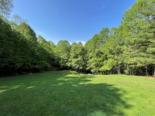 90 Rhythm Ridge Ln, Hillsville, VA 24343 - photo 8