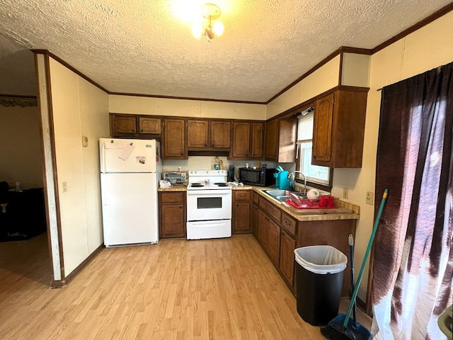 kitchen featuring ornamental molding, sink, white appliances, and light hardwood / wood-style floors