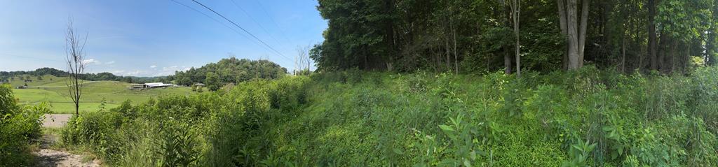 TBD Reedy Creek Rd Unit 12, Abingdon, VA 24210 - photo 2