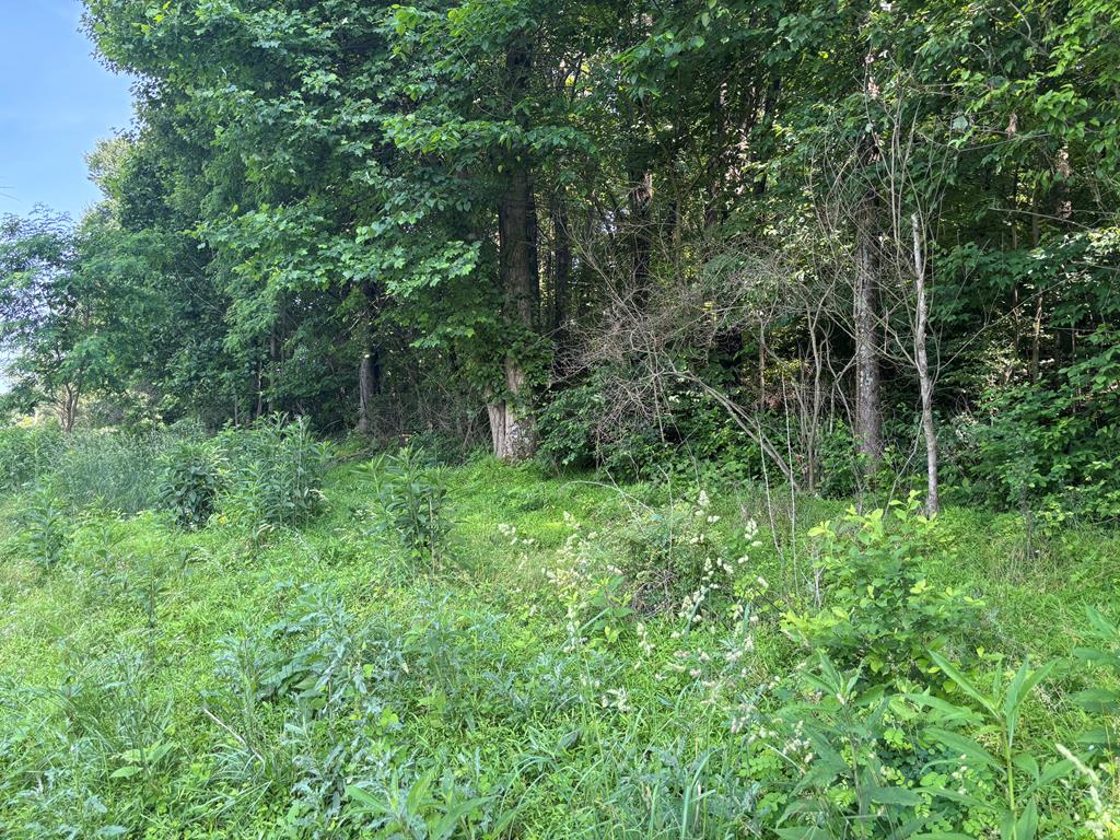 TBD Reedy Creek Rd Unit 12, Abingdon, VA 24210 - photo 1