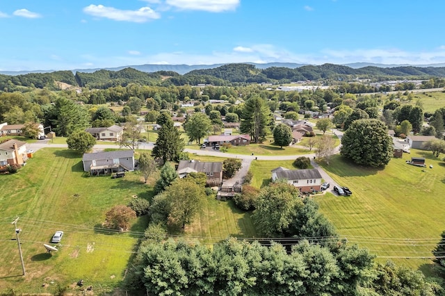1103 Panorama Dr, Abingdon, VA 24210 - aerial view of residential area with a mountain backdrop