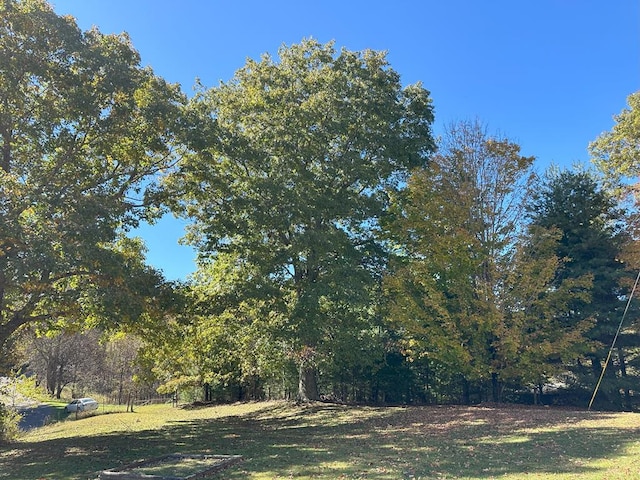 1227 Macks Mountain Rd, Indian Valley, VA 24105 - photo 4