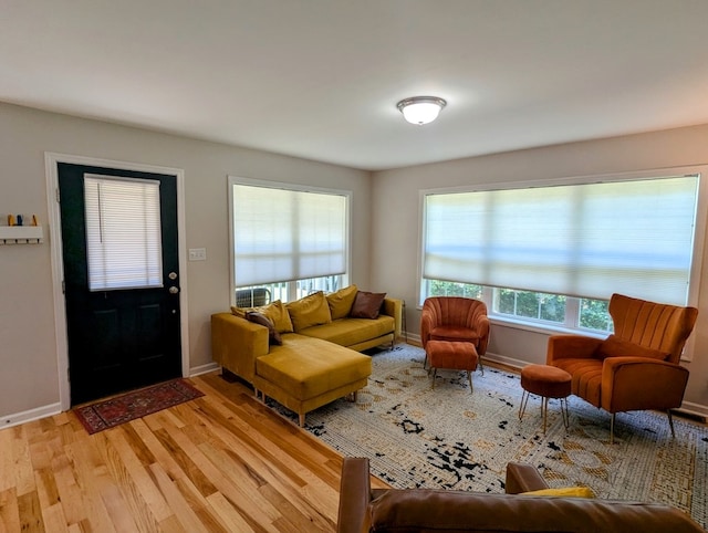 1251 Epperly Mill Rd, Floyd, VA 24091 - living room with light wood-style flooring and baseboards