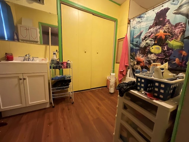 interior space featuring wood finished floors and vanity