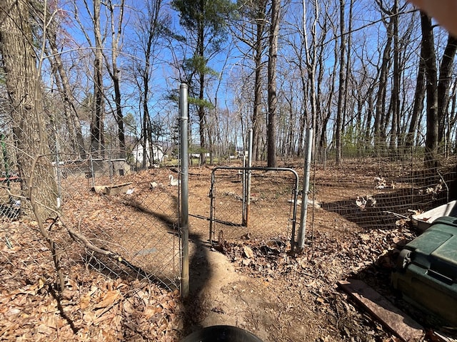 view of yard with fence and a gate