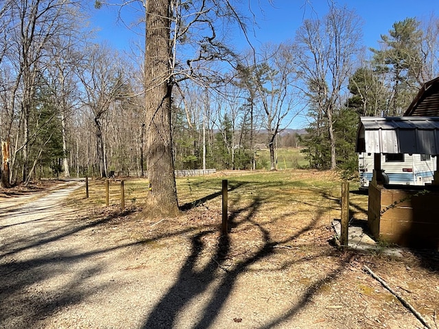 view of yard