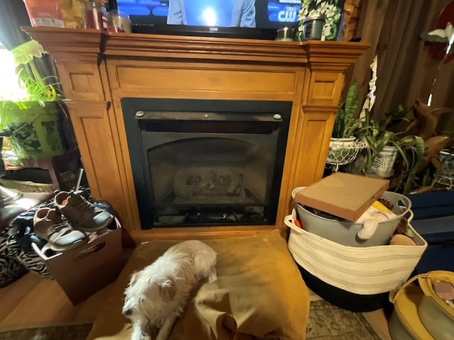 details with a fireplace