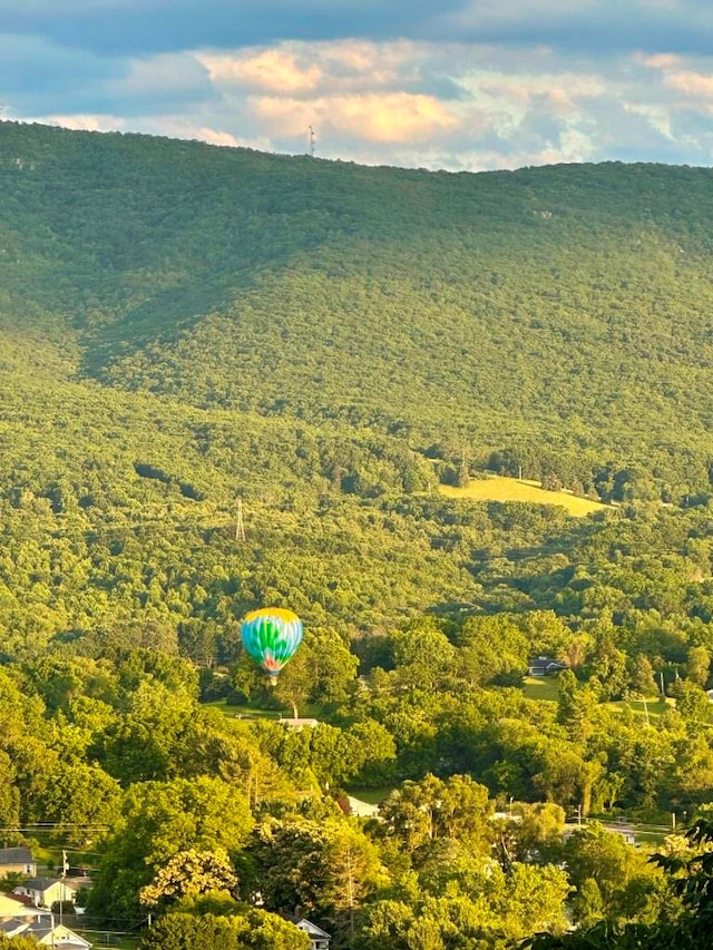 675 Pine Ridge Rd, Wytheville, VA 24382 - view of property location featuring a forest