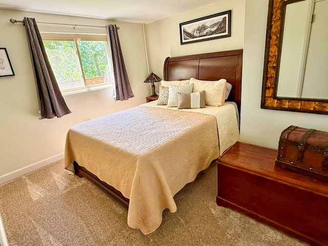 675 Pine Ridge Rd, Wytheville, VA 24382 - bedroom with carpet and baseboards