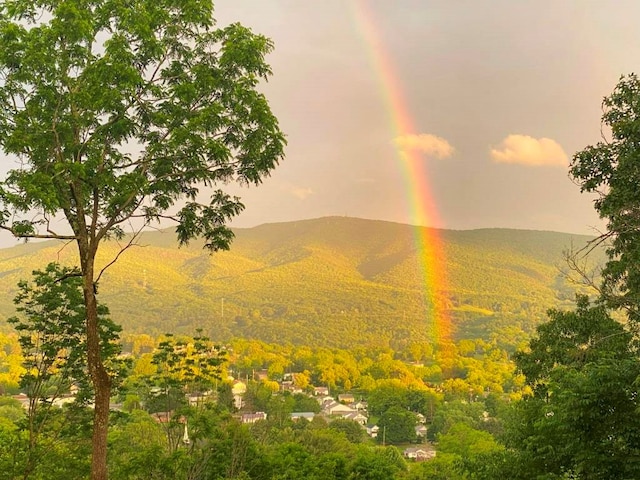 675 Pine Ridge Rd, Wytheville, VA 24382 - view of mountain backdrop with a heavily wooded area