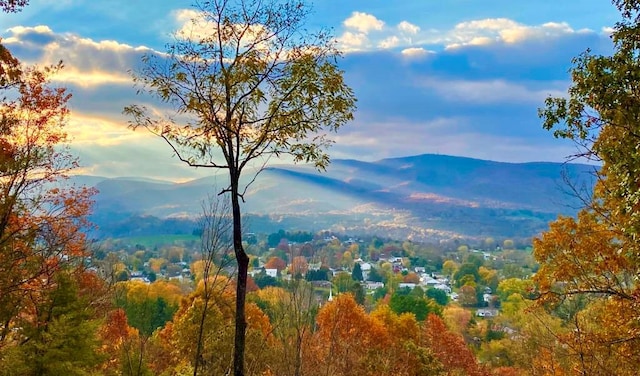 675 Pine Ridge Rd, Wytheville, VA 24382 - view of mountain backdrop