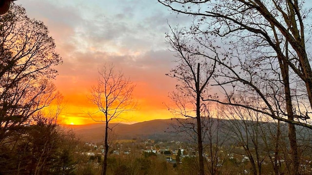 675 Pine Ridge Rd, Wytheville, VA 24382 - mountain view