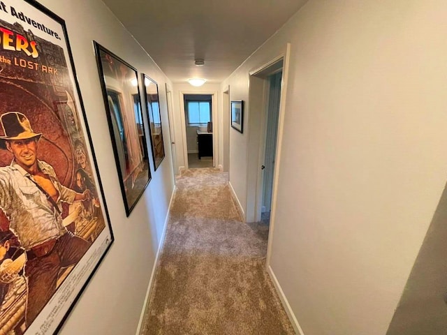 675 Pine Ridge Rd, Wytheville, VA 24382 - hallway featuring carpet and baseboards