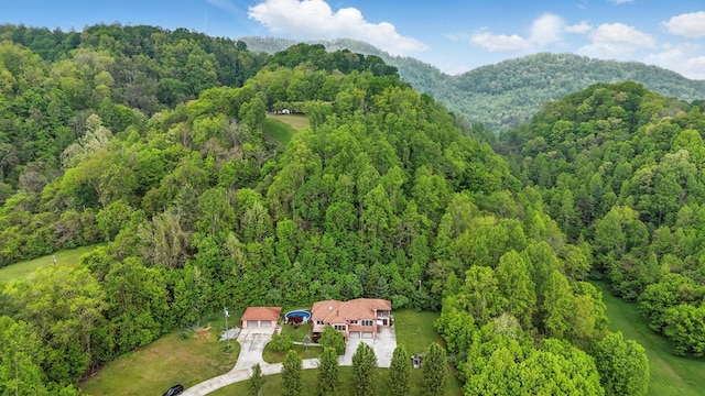271 Burgan Rd, Pennington Gap, VA 24277 - aerial overview of property's location with a forest and a mountain backdrop