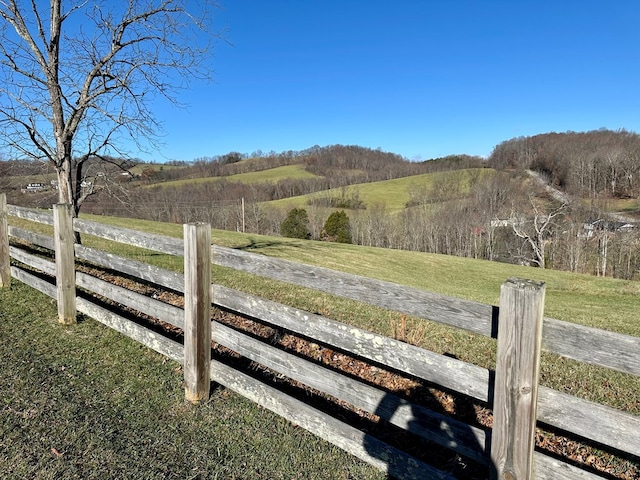 view of yard with a rural view