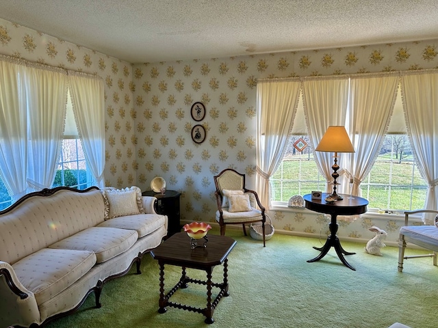 living room with carpet floors and a textured ceiling