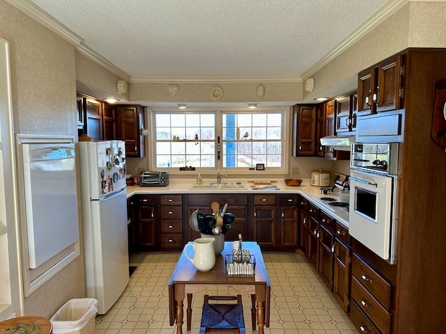 kitchen featuring ornamental molding, sink, a textured ceiling, and white appliances