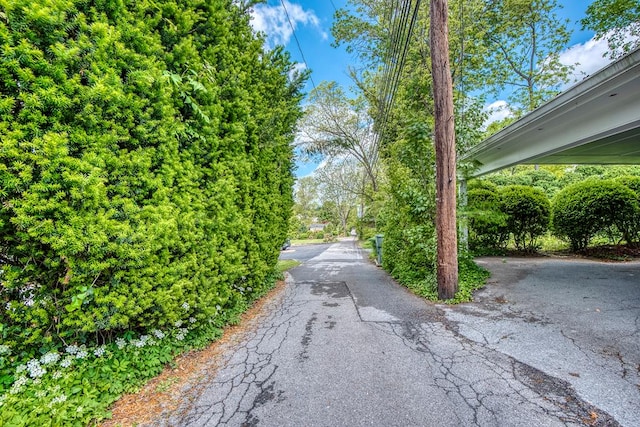 210 Valley St NE, Abingdon, VA 24210 - view of road